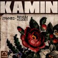 Zakhmi、Mehrad Hidden - Kamin (feat. Mehrad Hidden)