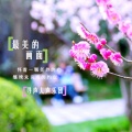 寻声人声乐团 - 最美的画面