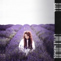 Sara - Little Nerves