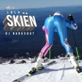 Skien