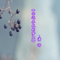潇游 - 你还在我的梦里