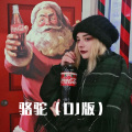 骆驼(DJ版)