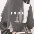 张思思 - 祝君好