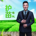 杨帆 - 护苗