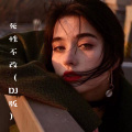死性不改(DJ版)