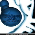 Steve Froggatt - Lost in Sound