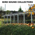 Bird Sound Collectors - Bird Sound Loop