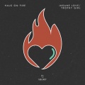 Haus On Fire - Insane Love