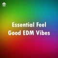 Essential Feel Good EDM Vibes