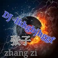 dj张子 - auqw (DJ版)