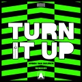 Armin van Buuren - Turn It Up (DropgunRemix)