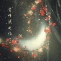 韩十三 - 爱情我也怕了