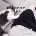 柯南 - 寻找刀郎 (Remix)
