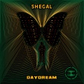 Shegal - A fat bass & a joint