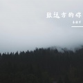 致远方的你