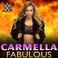 WWE (世界摔角娱乐)、CFO$ - WWE: Fabulous