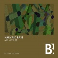 harvard bass - Take That