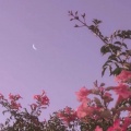 Nightscape
