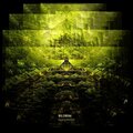 Rildrim - Damp Evergreens