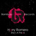 harry romero - She's A Freak (ExtendedMix)