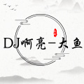 DJ啊亮 - 唱不下去