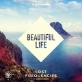 Lost Frequencies、Sandro Cavazza - Beautiful Life