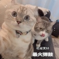 祁闻冥轩 - 发了疯的想你