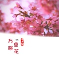 万里桃花 (Live版)