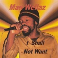 Man Wellaz、Bushy - I Shall Not Want