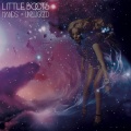 Little Boots - Meddle