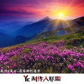 莫羽、莫七 - 夜未央化凄凉