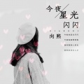 向熙 - 今夜星光闪闪