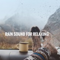 Rain Sound: Sleeping Sounds