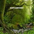 Sound Library XL - Drops Of Rain