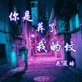 王家豪 - 你是葬了我的坟