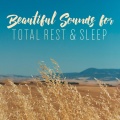 Nature Sounds for Sleep and Relaxation、Healing Power Natural Sounds Oasis、Best Sleep Music Academy - Serene Ambient