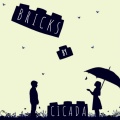 Cicada - Bricks