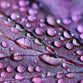NOISE、Calm Baby Sleep Noise、Sleeping Baby Sounds - Brain Relaxation: Noise Waves