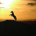 alessandro - I Will Overcome