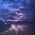 Organic Nature Sounds – Ambient Pack