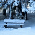 alessandro - Through the Winter