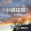 潮牌苏Sir - 阿拉斯加的山巅 (Remix)