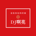 DJ啊亮 - Ok摇