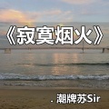 潮牌苏Sir - 我想说其实你很好
