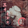 张小磊、吴琬 - 三年等君归
