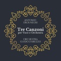 roberta gambarini、Orchestra Guido D'Arezzo、Antonio Eros Negri、Luca Santaniello - Destino