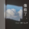 是你的小石开哥 - 像极了