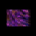 Synonyms - Purple Sky