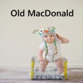 Macdonald - Ponies and Balloons