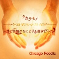 CHICAGO POODLE - 君の笑顔がなによりも好きだった